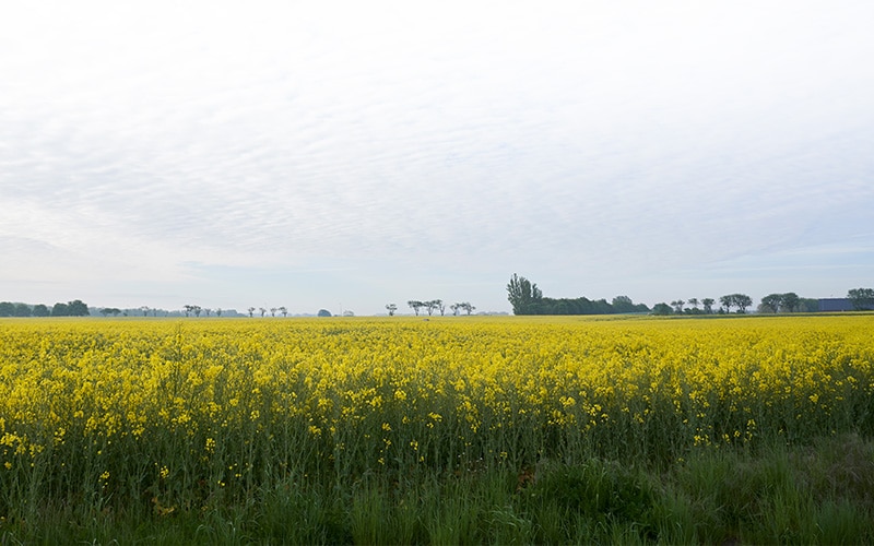Stäng vecka 30